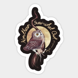 Northern Saw-whet Owl Sticker